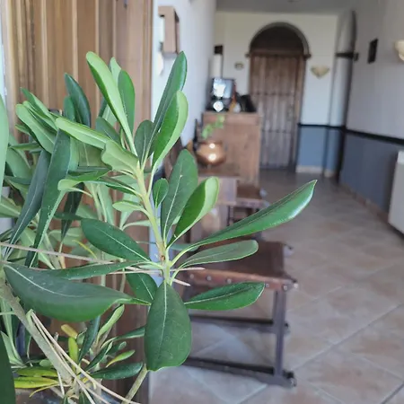 El Balcon De Nieves Hotel 3*