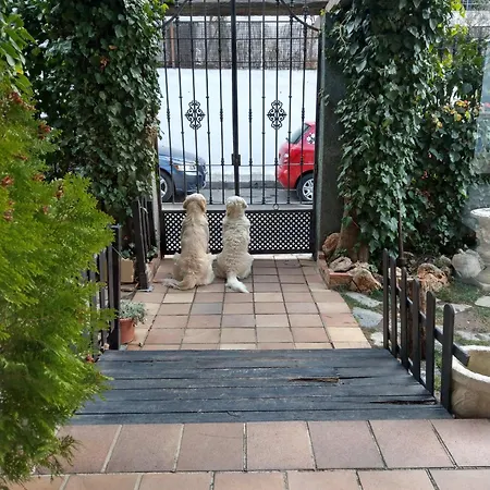 Hotel El Balcon De Nieves 3*
