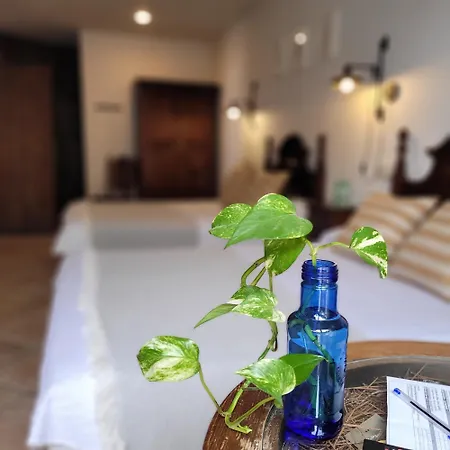 酒店 雪花阳台酒店 3*